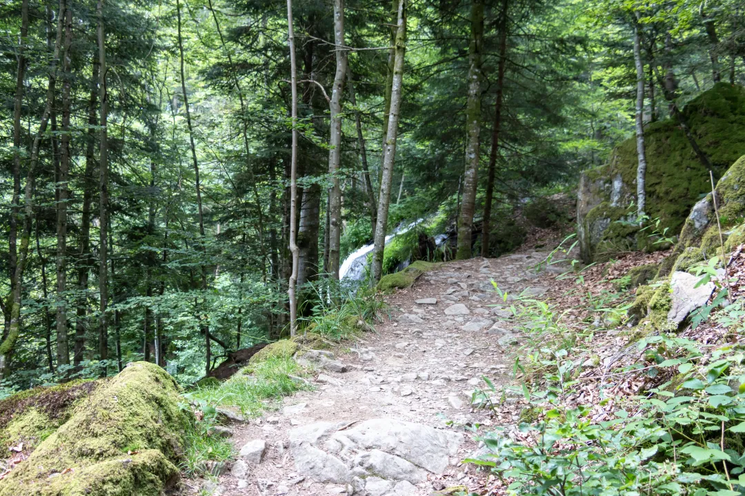 sentier vers cascade hohwald kreuzweg