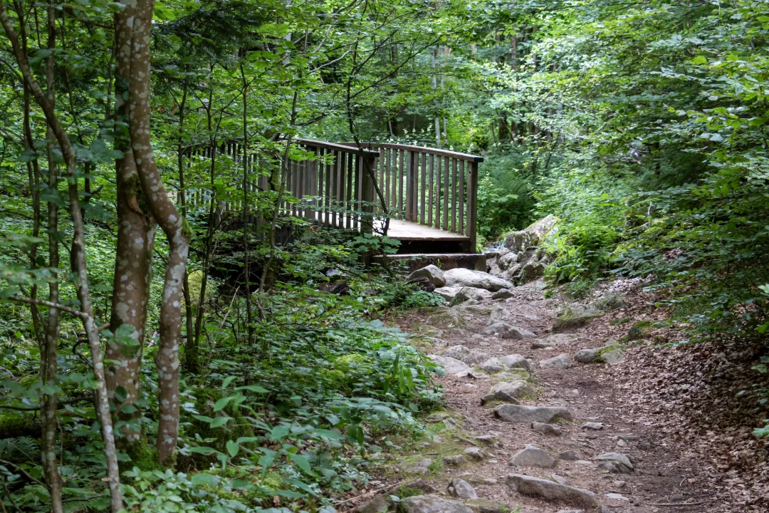 pont enjambe rivière andlau sentier cascade hohwald