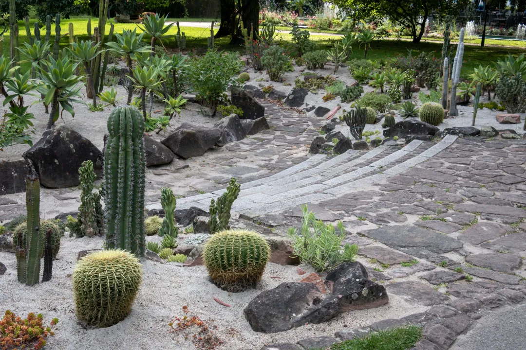 place cactus stadtpark lahr