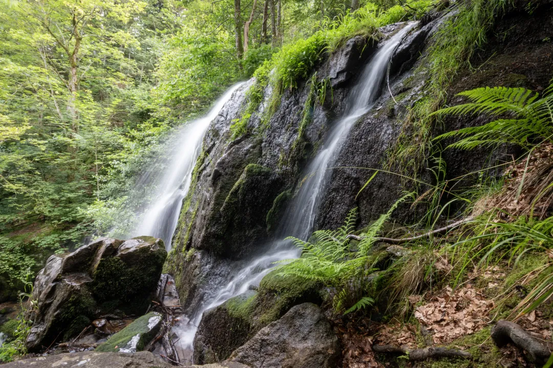 côté cascade hohwald kreuzweg