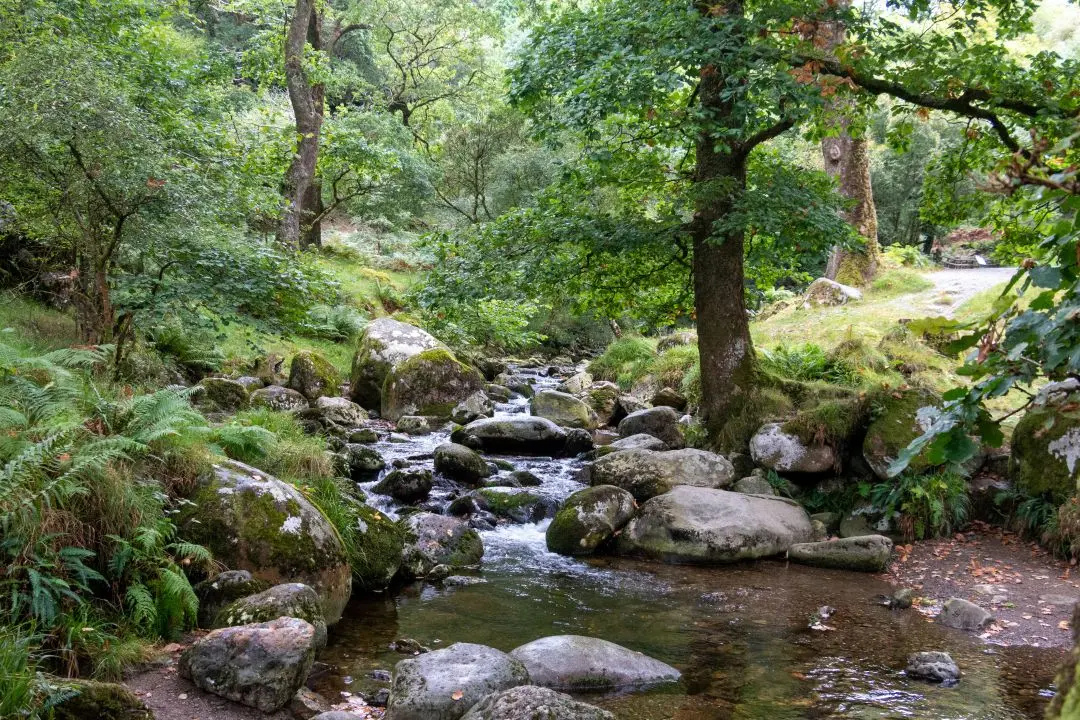 Glendalough Poulanass River